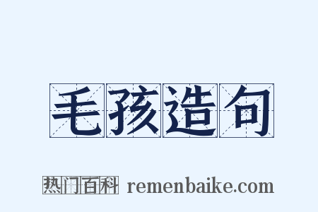 毛孩造句是什么意思的图片